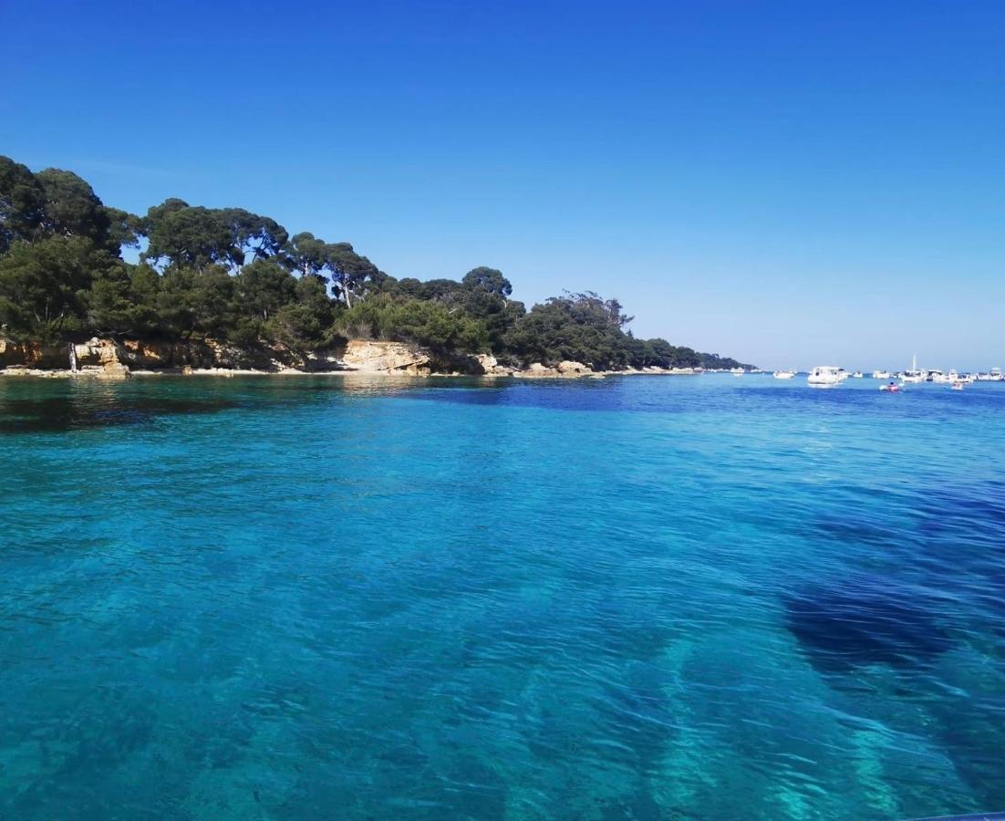 Un Havre De Paix Au Coeur De Mougins Apartamento Exterior foto